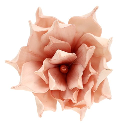 Floristik24 Skumblomst magnolia lyserød Ø15cm L65cm