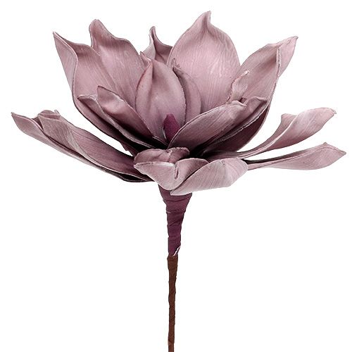Skumblomst Magnolia Berry Ø15cm L67cm