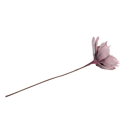 Floristik24 Skumblomst Magnolia Berry Ø15cm L67cm