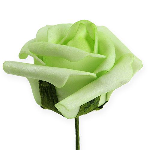 Floristik24 Skumrosa Ø 6cm grøn 27p