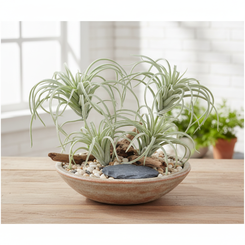 Artikel Tillandsia sukkulente kunstige grønne planter 13cm