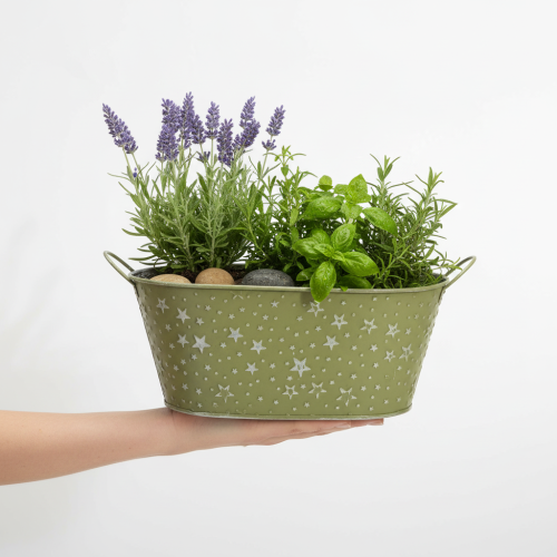 Artikel Oval metalskål med stjerner og hanke, grøn, 31×16 cm, H12,5 cm