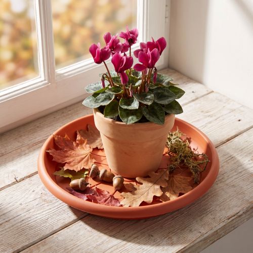 "Linda" underkop Ø20cm terracotta | Floristik24.dk