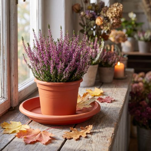 Coaster “Linda” Ø24cm terracotta | Floristik24.dk