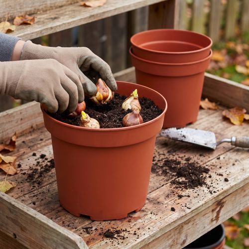 Plantepotte plast Ø29cm 10stk | Floristik24.dk