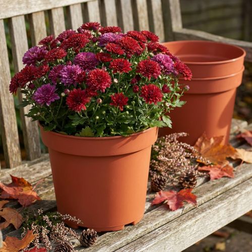 Plantepotte plast Ø23cm 10stk | Floristik24.dk