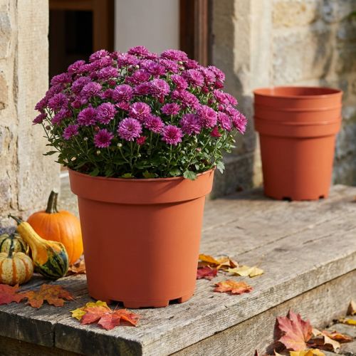 Plantepotte plast Ø26cm 10stk | Floristik24.dk