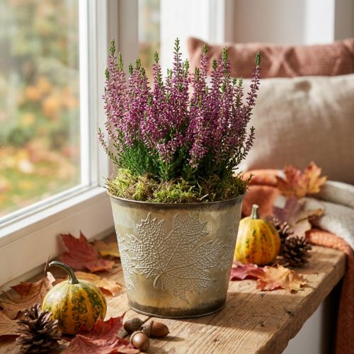 Planter til efterår, metalspand med bladdekoration, gylden metalbeholder Ø14cm H12,5cm | Floristik24.dk