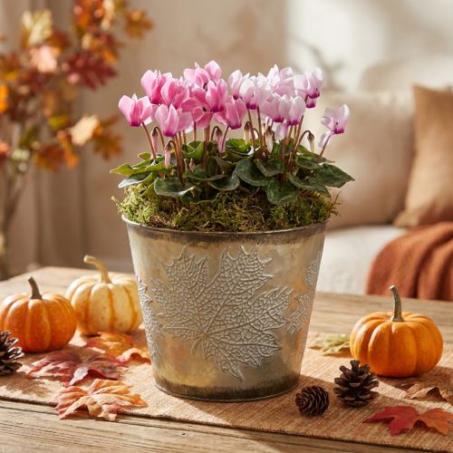 Efterårskrukker, planter med blade, gylden metaldekoration Ø16,5cm H14,5cm | Floristik24.dk