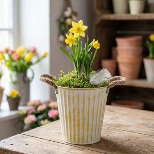Metalpotte, forårsdekoration, plantekasse med håndtag, gul, shabby chic, Ø18 cm, H17,5 cm | Floristik24.dk