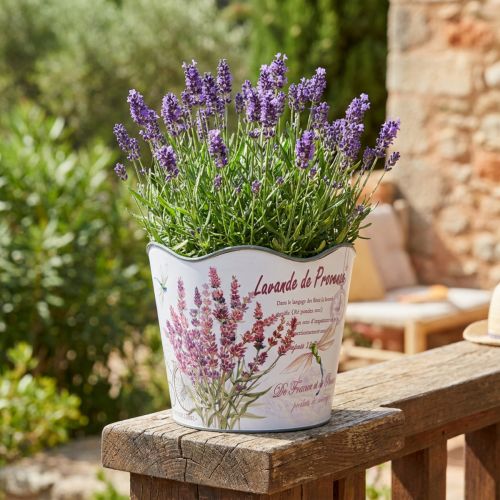 Plantekasse plast urtepotte sommer lavendel Ø16,5cm H13,5cm | Floristik24.dk