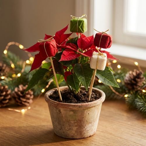 Blomsterstik Jul Julepakke 2,5cm 15 stk | Floristik24.dk