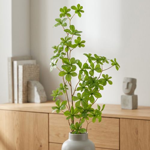 Kunstig Schefflera-gren,