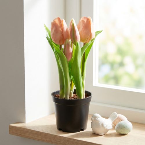 Kunstige tulipaner i potte Tulipaner Fersken kunstige blomster 22cm | Floristik24.dk