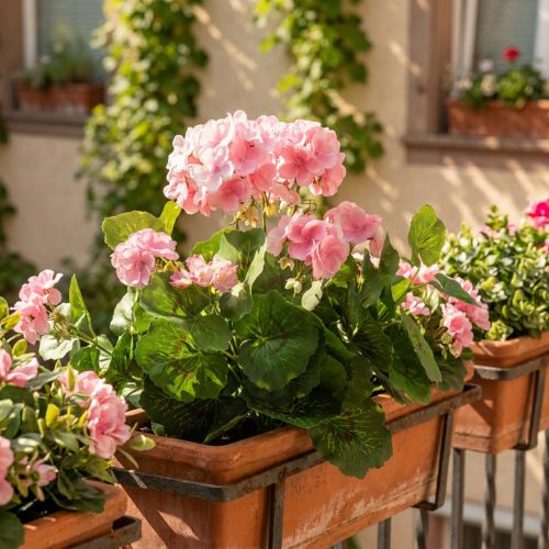 Geranium kunstig blomst Pink geranium busk kunstig 7 blomster H38cm | Floristik24.dk