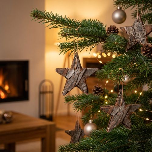 Dekorative stjerner fyrretræ natur juletræspynt fyrrestjerner 6cm 12 stk | Floristik24.dk