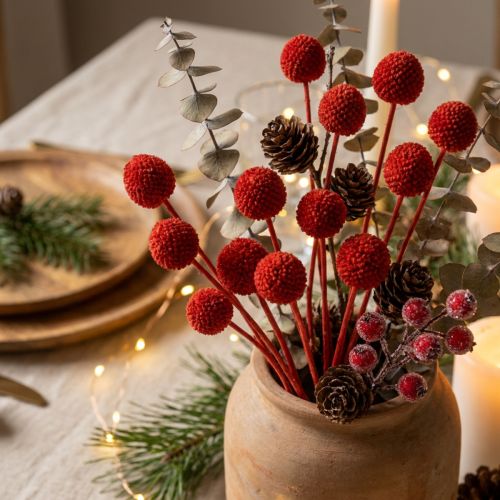 Artikel Tørrede Craspedia-blomster, farvede, med lange stilke, 55 cm, 20 stk.