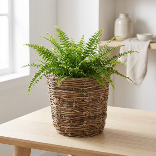 Plantekurv med vinstoklignende design, dekorativ til blomsterpotter og bordpynt | Floristik24.dk