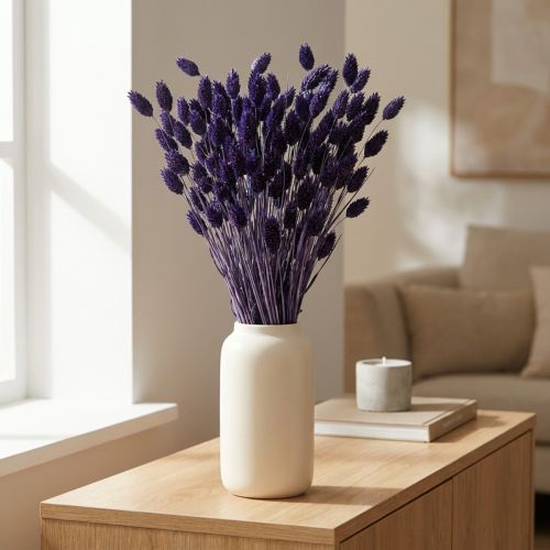 Artikel Phalaris Violet Tørret Dekorativt Græs 50-55cm 100g