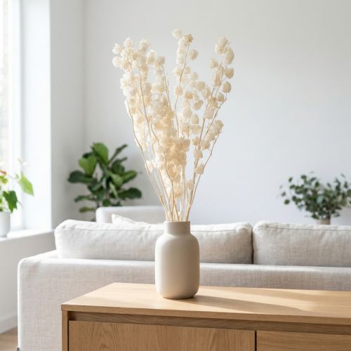 Physalis tørret bleget lanterneblomstdekoration Nicandra 75-80 cm 100 g | Floristik24.dk