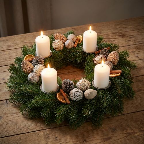 Eksotiske kogler Leucodendron hvidvasket 3-4cm 450g | Floristik24.dk