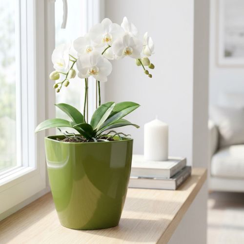 Orkidépotte skinnende Ø12,5cm olivengrøn 1 stk | Floristik24.dk