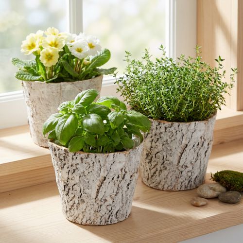 Blomsterpotte med bark-look, ideel til rustik indretning og plantedekoration, 12 cm, 4 stk. | Floristik24.dk