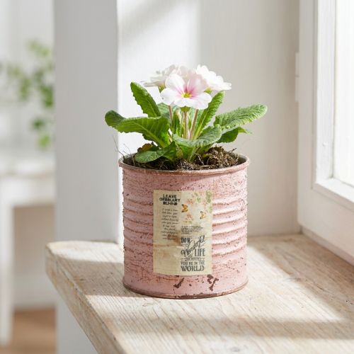 Blomsterpotte dekorativ blik rund antik rose metalplante Ø8cm H7,5cm | Floristik24.dk