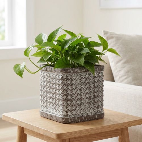 Plantebakke Plantebakke Keramisk Urtepotte 12×12×12cm | Floristik24.dk