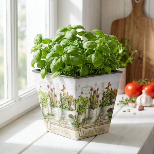 Urtepotte, plantekasse med motiv, plantekasse H13cm B13,5cm | Floristik24.dk