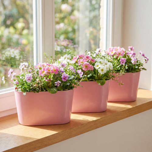 Planteskål oval pink pynteskål plast 20×10×11cm 3stk | Floristik24.dk
