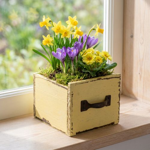 Planteskuffe træ dekorativ plantekasse gul 12,5cm | Floristik24.dk
