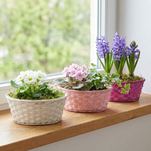 Chipkurv rund lilla/hvid/pink Ø25cm 6 stk | Floristik24.dk