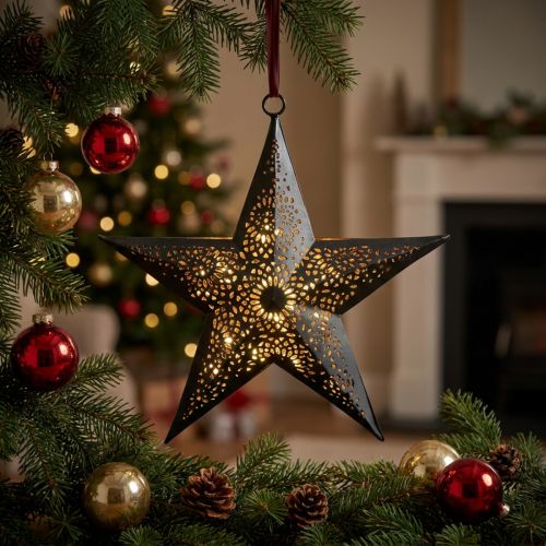 Juleophæng Star Metal Star Sort H19cm | Floristik24.dk
