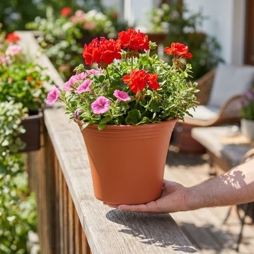 Potte “Irys” plast terracotta Ø25cm H21cm, 1 stk | Floristik24.dk