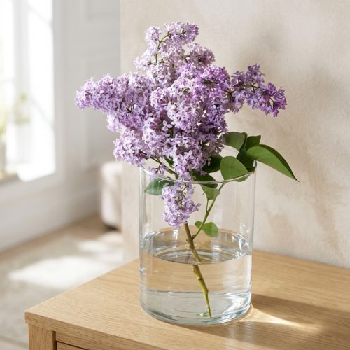 Glasvase klar cylindrisk Ø12cm H20cm | Floristik24.dk