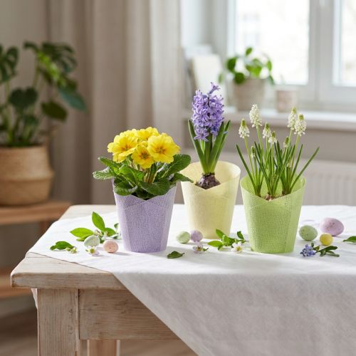Plantekrukke vævet plantepapir grøn, gul, lilla Ø7cm H13cm 12stk | Floristik24.dk