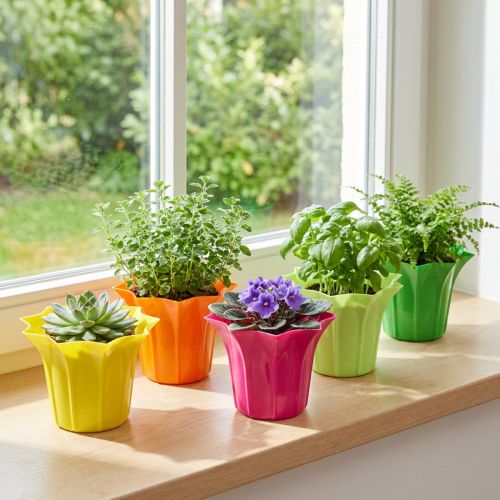 Plantekasse til potteplanter, farverigt assorteret. Ø10,5cm 10 stk | Floristik24.dk
