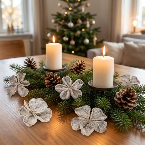 Landlotus Hvidvasket 6-12cm 50 stk | Floristik24.dk