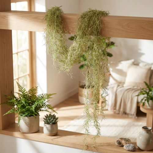 Tillandsia dekorativt hængende Tillandsia kunstgrøn hvid 180cm | Floristik24.dk