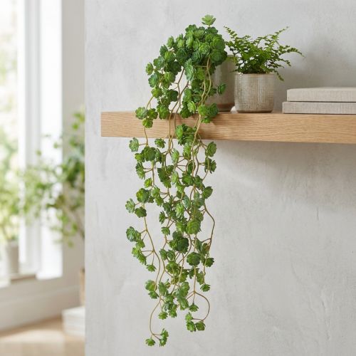 Artikel Echeveria kunstige hængeplanter i grøn B12cm L50cm