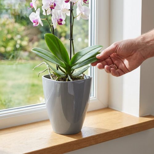 Orkidépotte skinnende Ø12,5cm grå 1 stk | Floristik24.dk