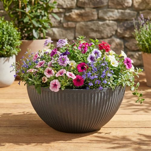 Plantepotte skål plast antracit Ø40cm H18,5cm | Floristik24.dk