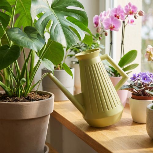 Indendørs vandkande, olivengrøn, retrostil, 24,5 cm, 1,8 l, designervandkande, plastik, plantevanding | Floristik24.dk