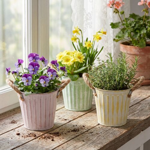 Dekorativ potte, metalspand til plantning, plantekasse med håndtag, pink/grøn/gul shabby chic Ø15cm H13cm 3-delt sæt | Floristik24.dk
