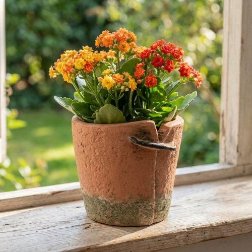 Artikel Urtepottepottepotte i beton terracotta potte Ø13cm H13cm