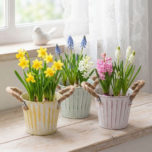 Plantespand, metalpotte med håndtag, dekorativ plantekasse, pink/grøn/gul, shabby chic, Ø12 cm, H10 cm, sæt med 3 | Floristik24.dk