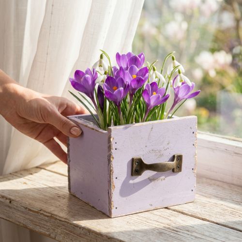 Skuffe Shabby Chic Deco Træ Lilla Spring Deco 12,5×12,5×10cm | Floristik24.dk