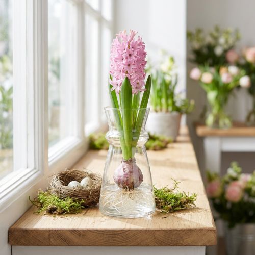 Glasvase hyacintvase dekorativ