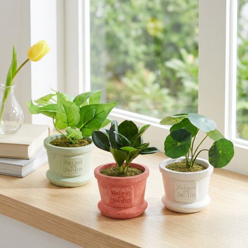 Kunstige grønne planter miniplanter i potte 15cm 3stk | Floristik24.dk